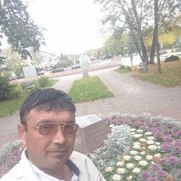, 41,  