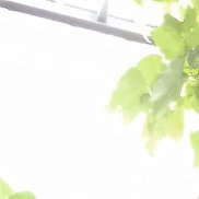 ���, 37 ���, ������