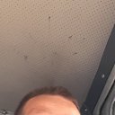 ���� ����, ����, 38 ��� - ��������� 2 ������ 2026 � ������ ���� ����������