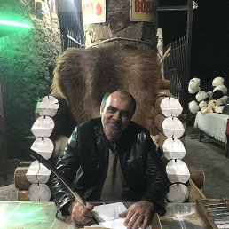 �����, 44 ����, ���������