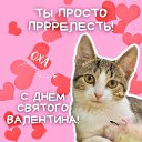 ���� �����, �����, 50 ��� - ��������� 20 ������� 2024 � ������ ���� ����������