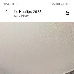 ����, ���������, 40 ���