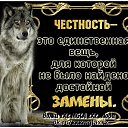 ���� ������, ������, 39 ��� - ��������� 6 ������� 2026 � ������ ���� ����������