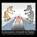 ���� �����, ������������, 54 ���� - ��������� 12 ��� 2025