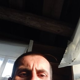 , 33, 