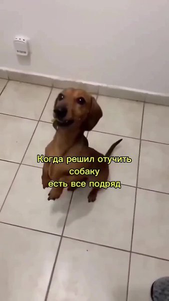 ce�e�o. ����� ������� - 2