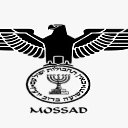 ���� Phoenix, ����� - ��������� 3 ������� 2026