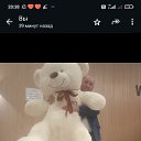 ���� �������, ������������, 42 ���� - ��������� 6 ��� 2025 � ������ ���� ����������