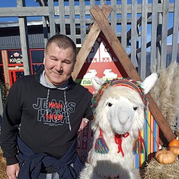 ������� ������, 58 ���, �����