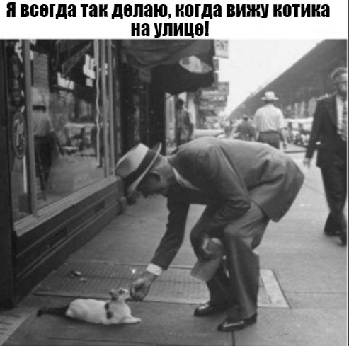 ��� ���� � ����� �� �� - 18 ����� 2026 � 21:00