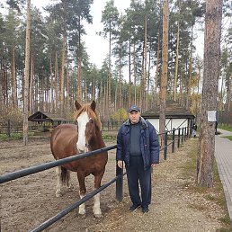 �������, ������, 50 ���