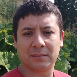 �����, ������, 39 ���