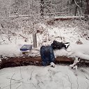 ���� �������, ���������� �����, 64 ���� - ��������� 28 ������ 2026