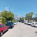���� ���������, ������, 67 ��� - ��������� 30 ������� 2024 � ������ ������ 2024�