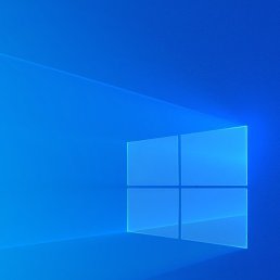 �����, ������ ��������, 65 ���