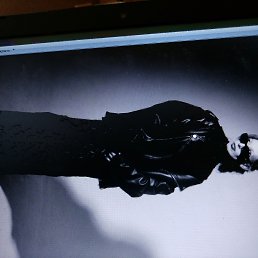 ���� ����, �����������, 37 ��� - ��������� 6 ������ 2026