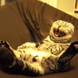 ���� ���, ������, 22 ���� - ��������� 28 ������� 2023