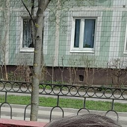 �����, ������, 34 ����