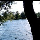 ���� ����, ������������, 43 ���� - ��������� 9 ���� 2026 � ������ ���� ����������