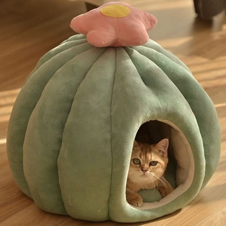             : 1. 