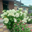 ���� ����, ��������, 65 ��� - ��������� 26 ���� 2025 � ������ �7�