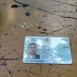 , 33, 