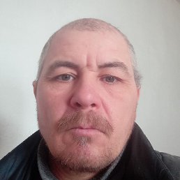 �����, �������, 43 ����