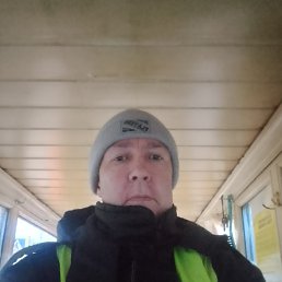 �������, 41 ���, ������