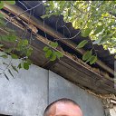 ���� ����, �����������, 50 ��� - ��������� 27 �������� 2024 � ������ ���� ����������