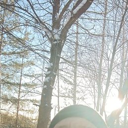 ������, �����-���������, 56 ���