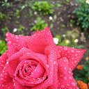 ���� ������, ���������� �����, 65 ��� - ��������� 9 ������ 2026