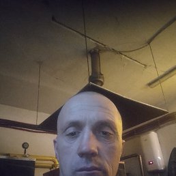 ��������, 42 ����, �����������