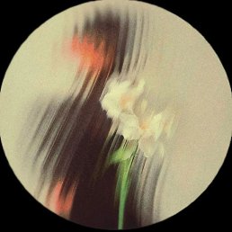 Satish Kumar, �����������, 18 ���