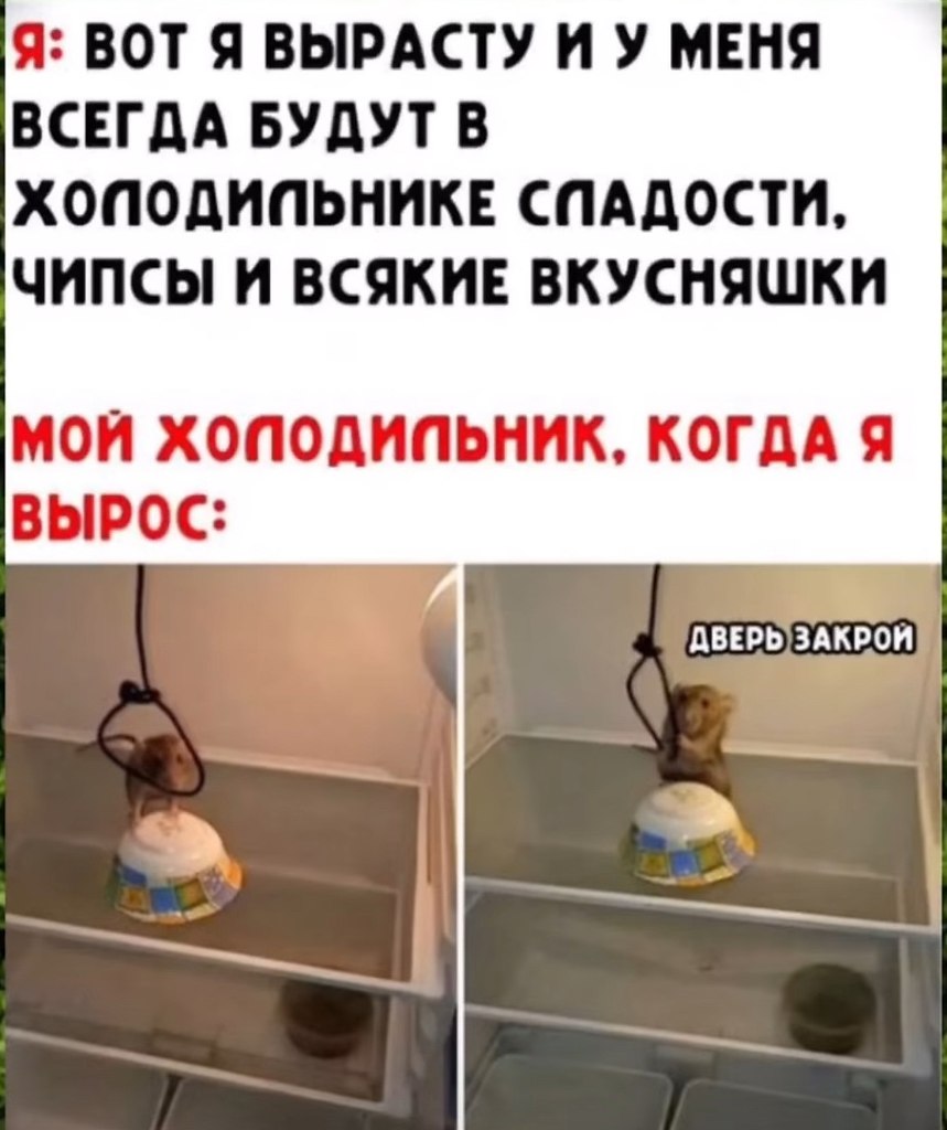  - 28  2025  12:05