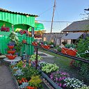 ���� �������, ������, 28 ��� - ��������� 7 ����� 2026 � ������ ���� ����������
