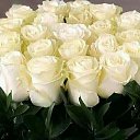 ���� ����, ������ - ��������� 15 ������� 2023 � ������ �������