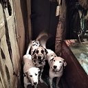 ���� ���� ��������, ������, 43 ���� - ��������� 5 ������� 2024