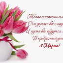 ���� ���������, ������� - ��������� 8 ����� 2026 � ������ ������ ��������