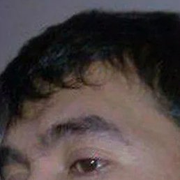 �����, ������, 42 ����