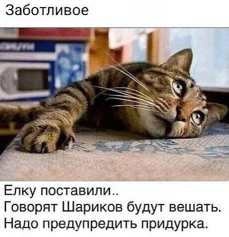   ,..