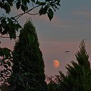 ���� Alpha, ������ - ��������� 21 �������� 2024 � ������ ��������� �����. �� �������� �������.�