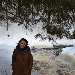 ������, �����-���������, 49 ���