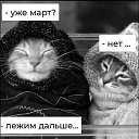 ���� �����, ������������ - ��������� 10 ����� 2026 � ������ ������ ��������