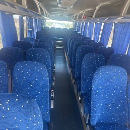 Sardor, �����, 29 ���