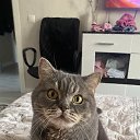 ���� �����, ������������ - ��������� 4 ������ 2025 � ������ ���� ����������