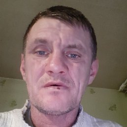 �����, �����-���������, 40 ���