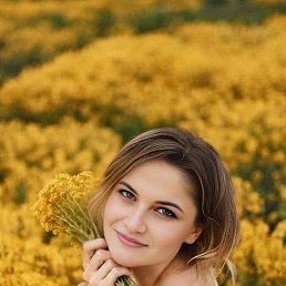 ����, ������ ��������, 38 ���