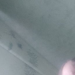 ������, ������, 47 ���