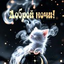 ���� Maxim, ���� - ��������� 21 ��� 2026 � ������ ������ ��������