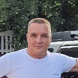 �����, �����-���������, 50 ���